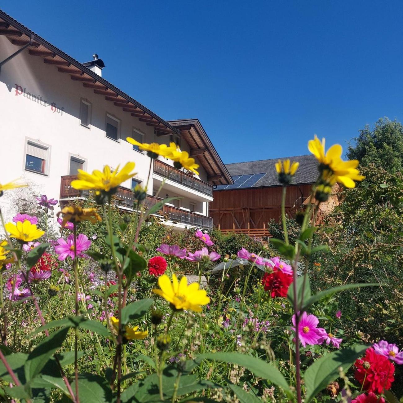 Planitzhof Villa Castelrotto Luaran gambar