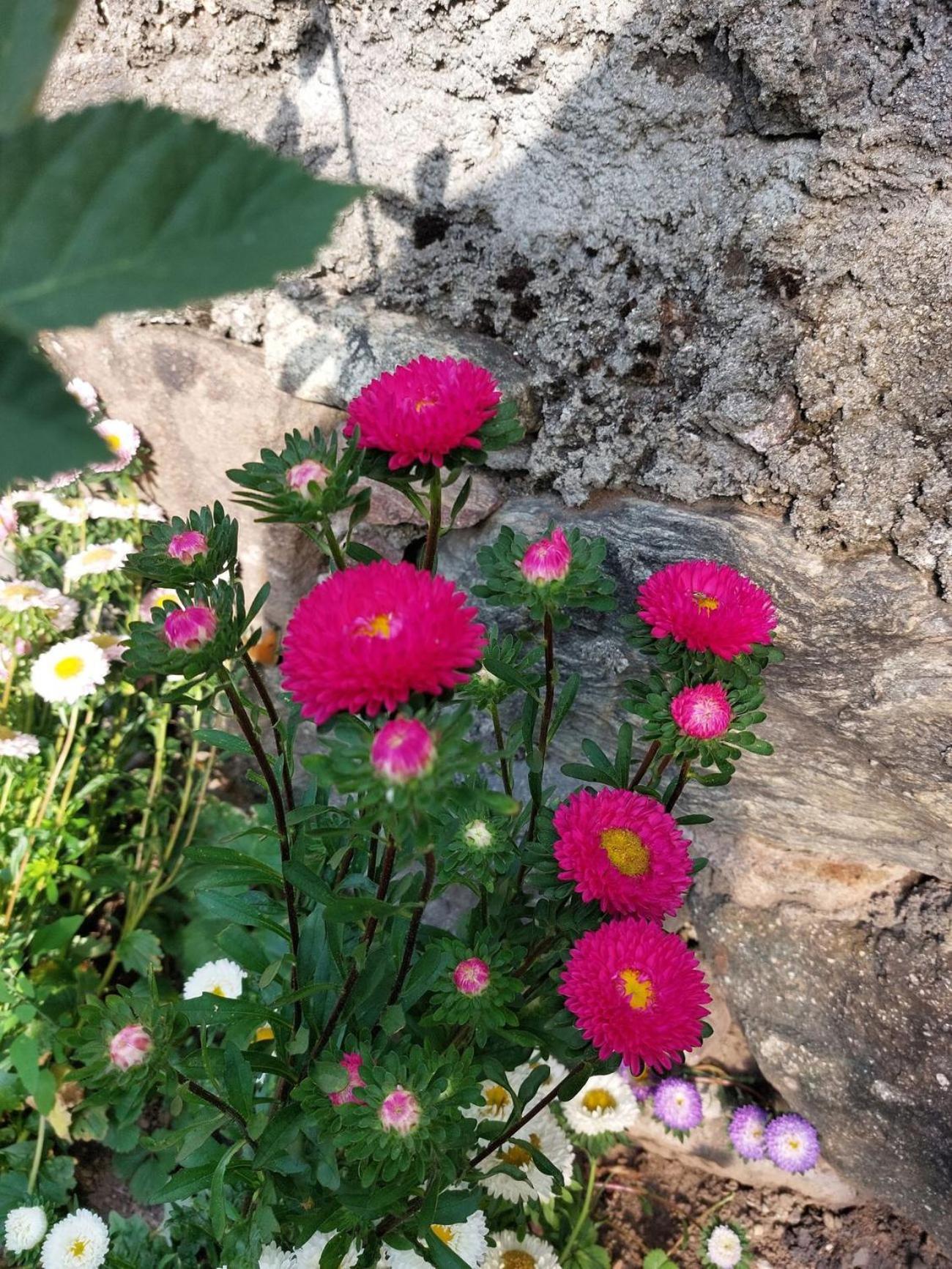 Planitzhof Villa Castelrotto Luaran gambar